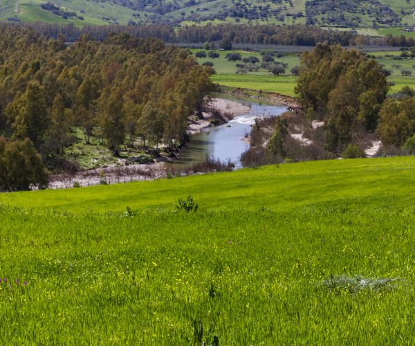 curso-gratuito-gestion-medioambiental-iso14001
