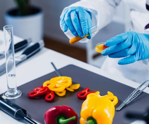 curso-gratuito-higiene-seguridad-alimentaria